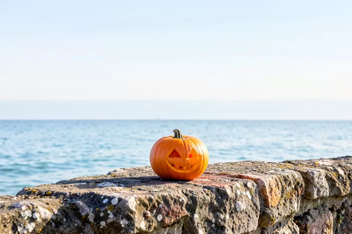 Harbour Pumpkin