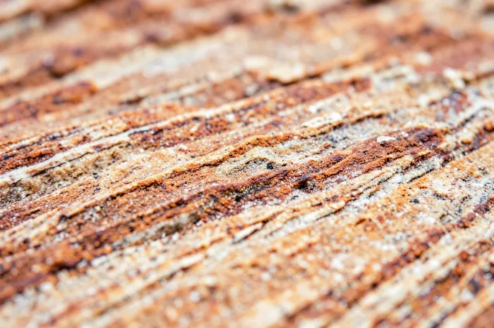 Zion Grain