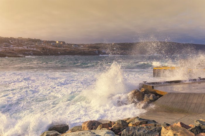 Natures Painting - Newfoundland art print