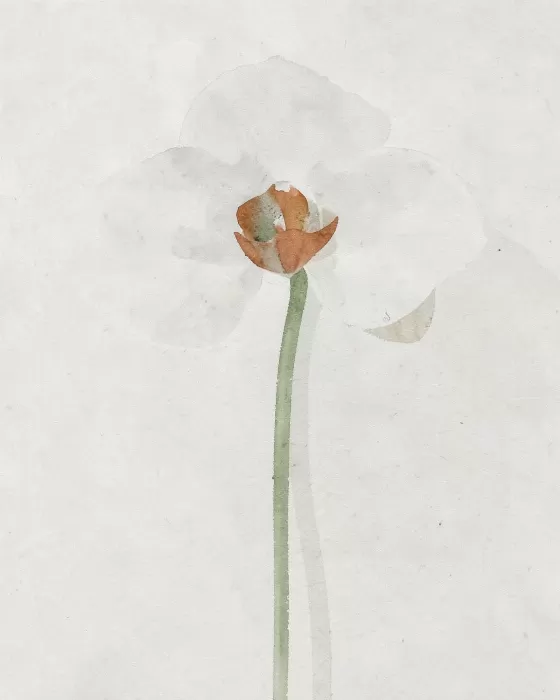 Orchid Stem II