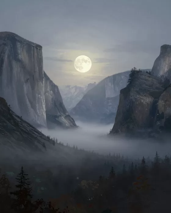 Silvery Veil