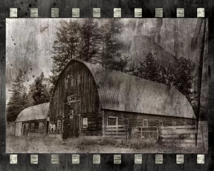 Barn On Film