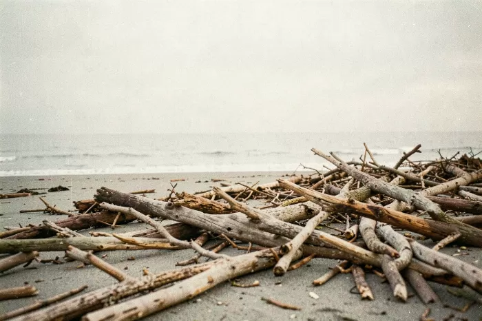 Grey Shoreline