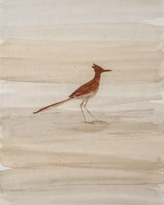 Desert Runner