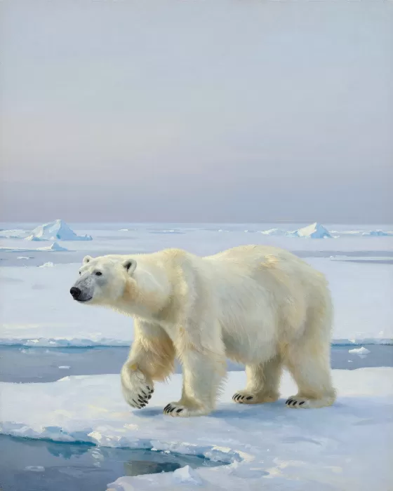 Ice Lead