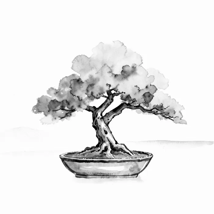 Pine Calm