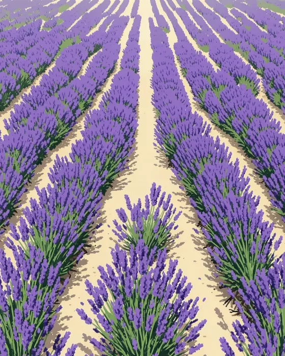 Blooming Patterns