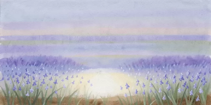 Hazy Bloom