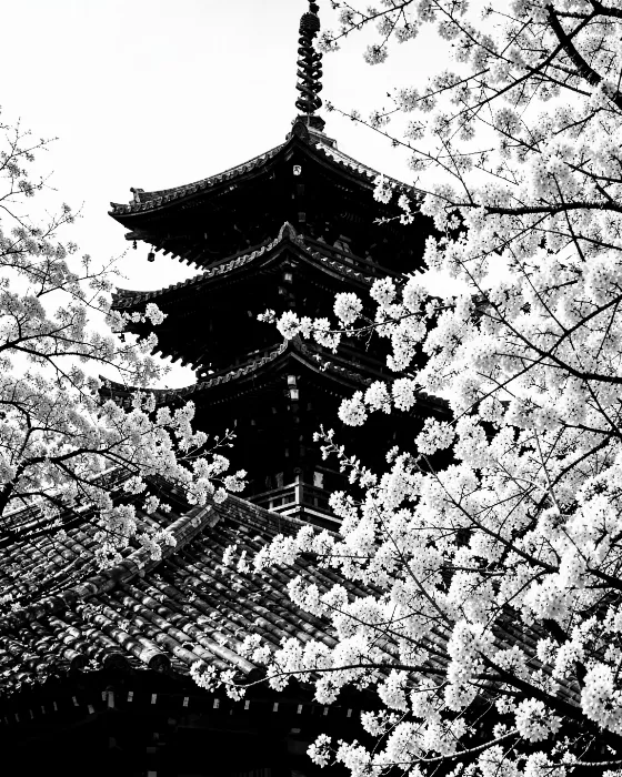 Temple Petals
