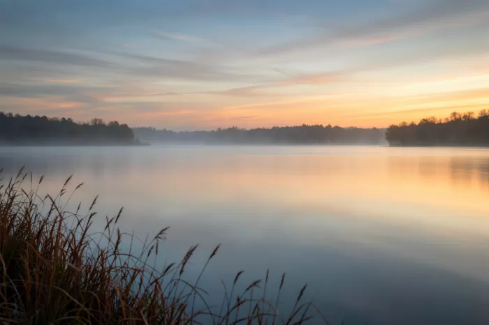 Still Dawn III