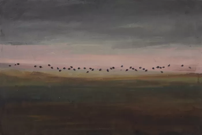 Faded Fields