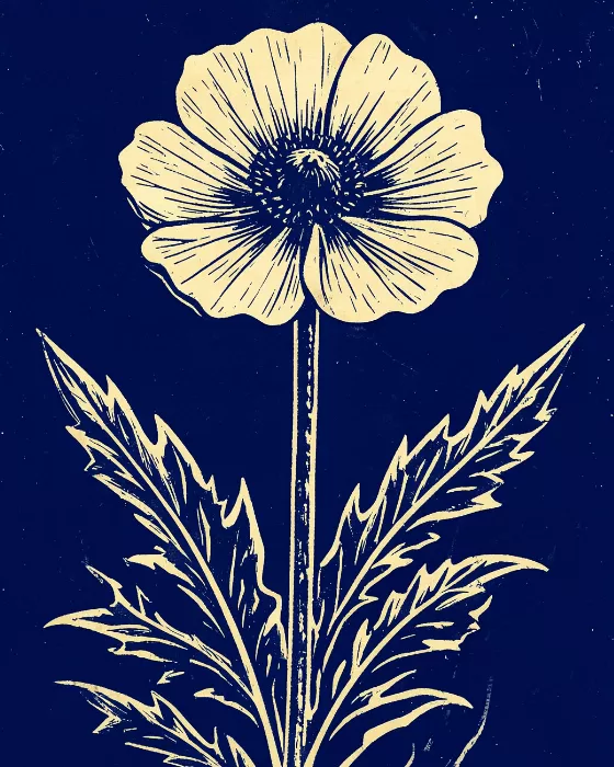 Carved Anemone