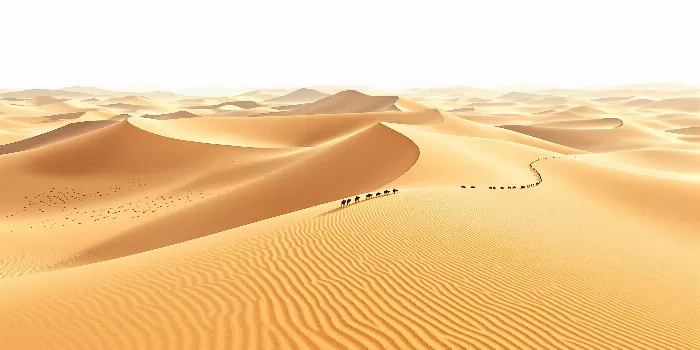 Desert Passage