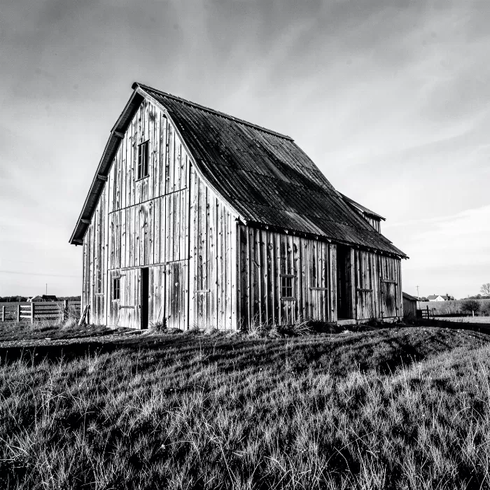 Weathered Timber