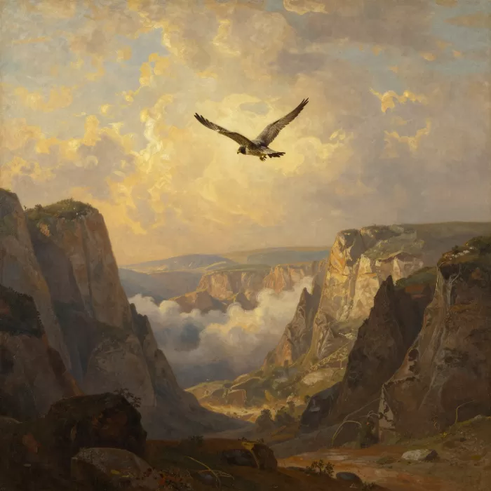 Soaring Falcon