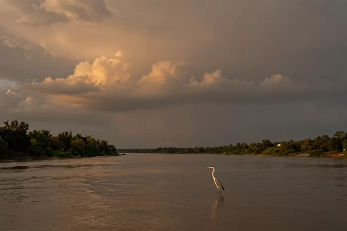 Heron's Dusk