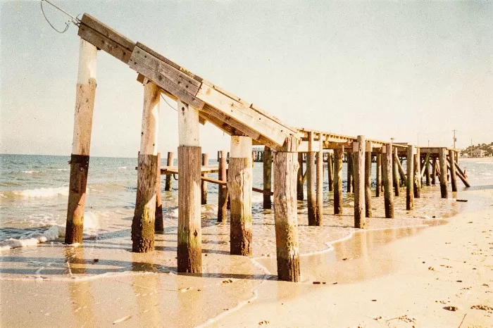 Pier Pilings