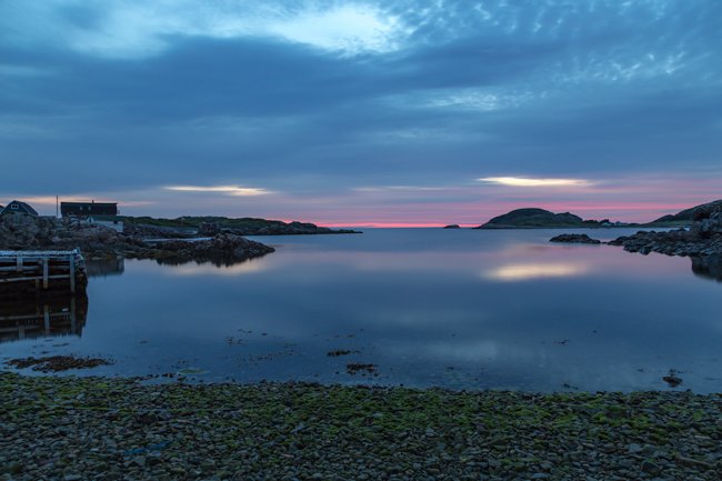A New Dawn - Newfoundland art print