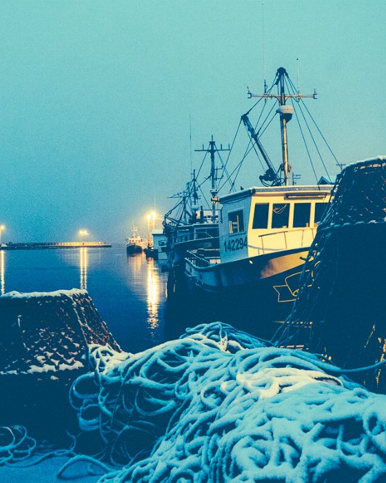 Safe At Home - Newfoundland art print