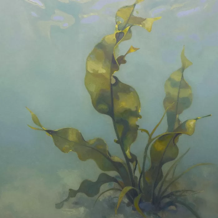 Kelp Cluster