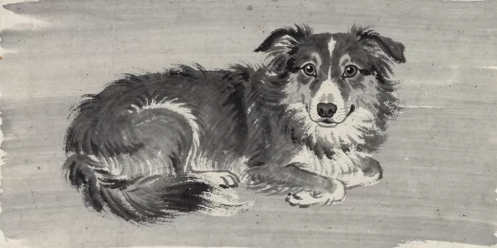 Ink Sheepdog