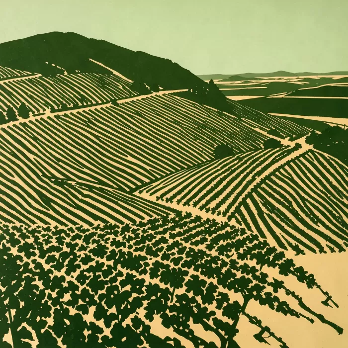 Valley Comb