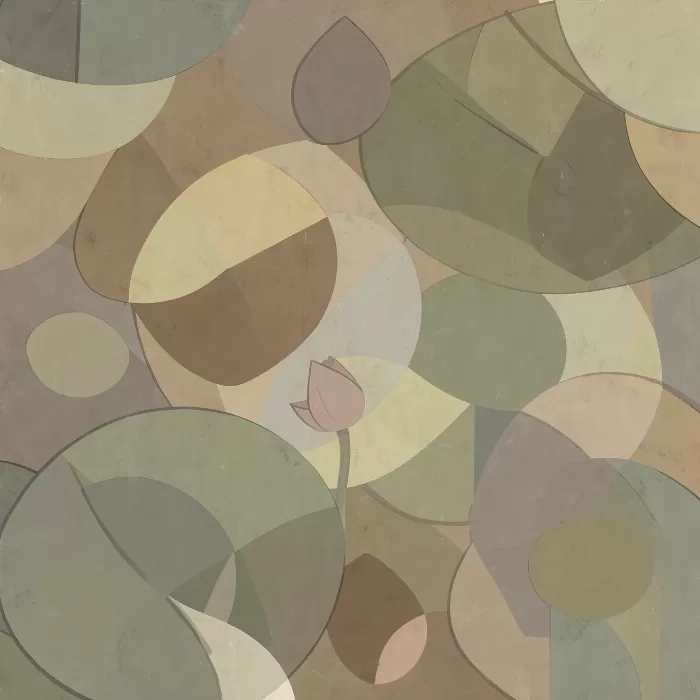 Pond Geometry