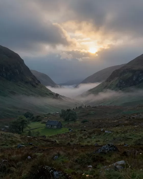 Amber Bothy