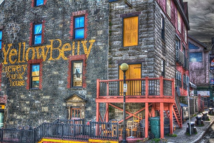 Yellow Belly - Newfoundland art print