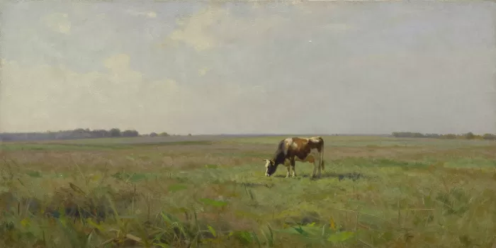 Morning Graze