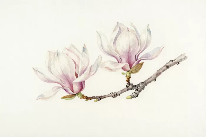 Petal Branch