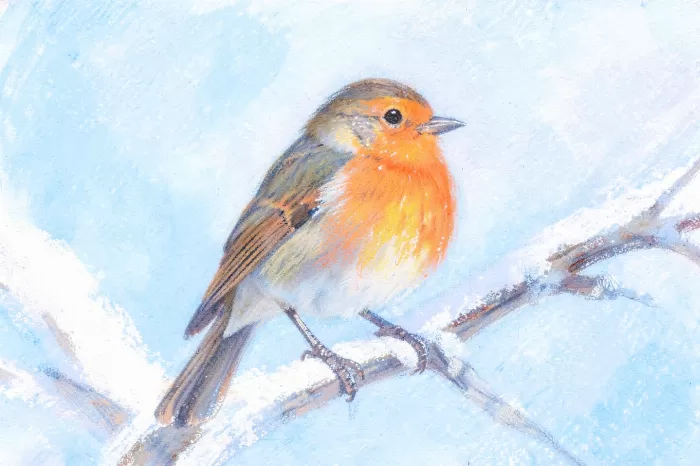 Pastel Robin