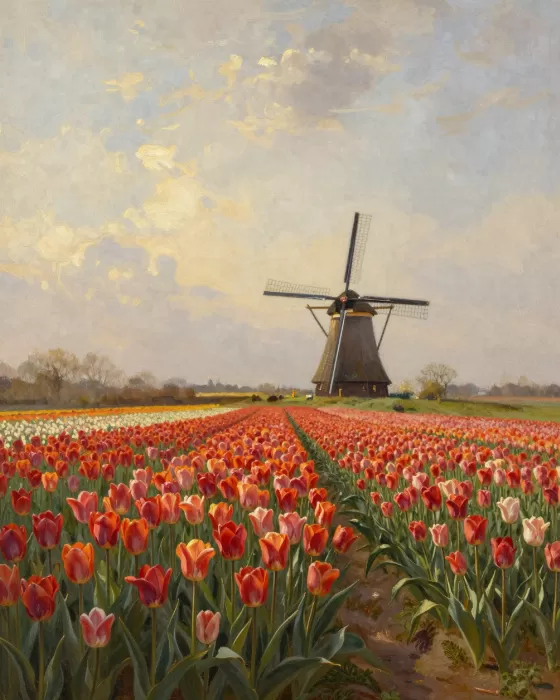 Windmill Meadow