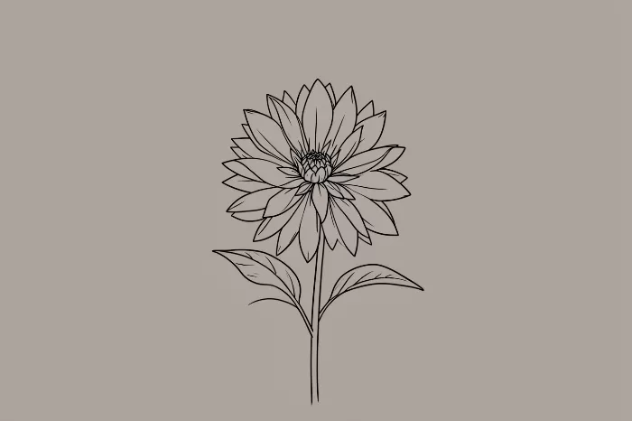 Dahlia Line