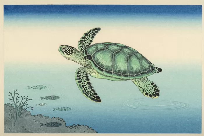Sea Turtle Dive