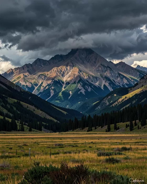 Stormlight Range