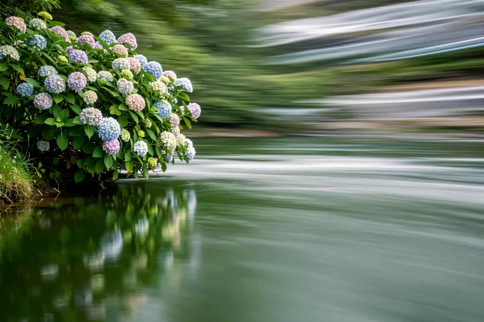 Silk Drift