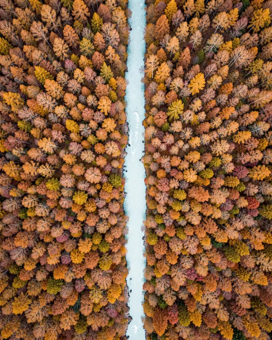 Amber Flow