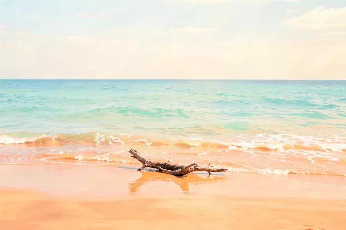 Wet Sands