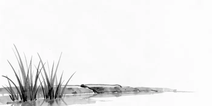 Reed Edge
