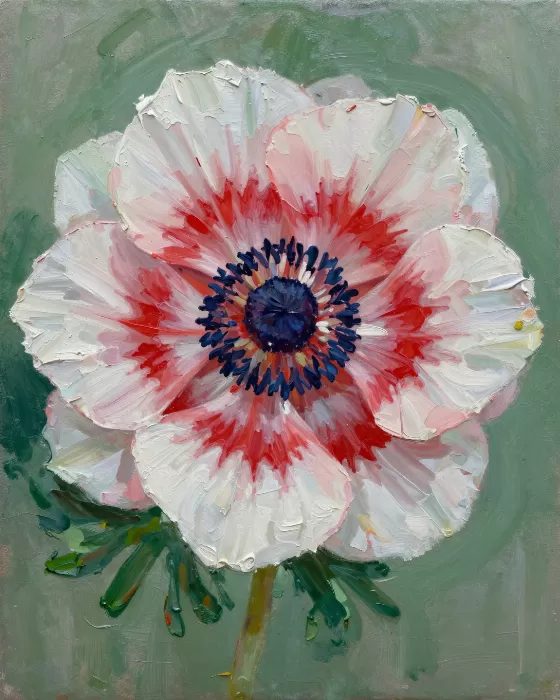 Impasto Anemone