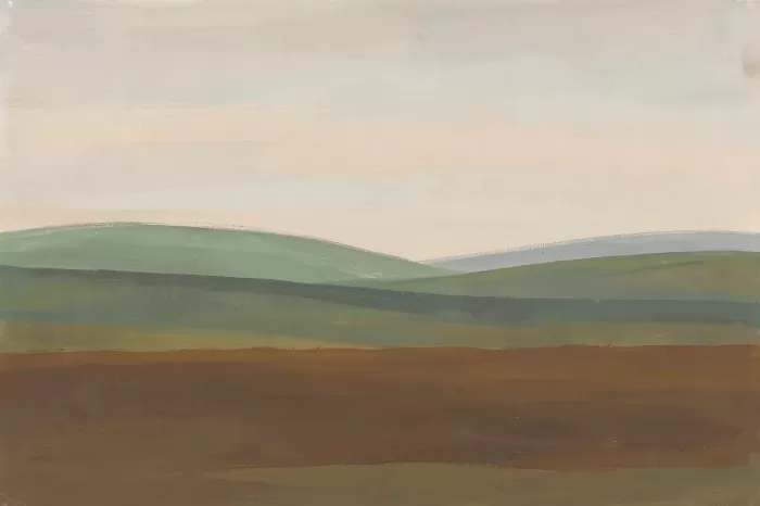 Bogland Hush