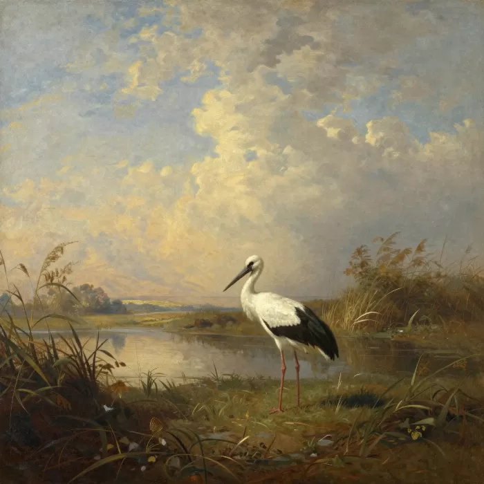 Marsh Stork