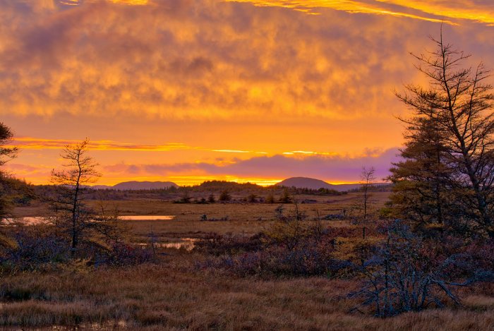 Sunset On The Bog - Newfoundland art print