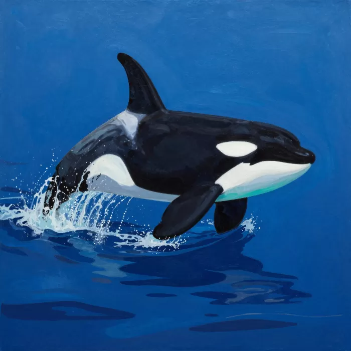 Black Tide
