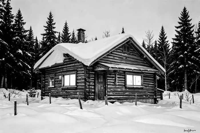 Cabin Snowdrifts