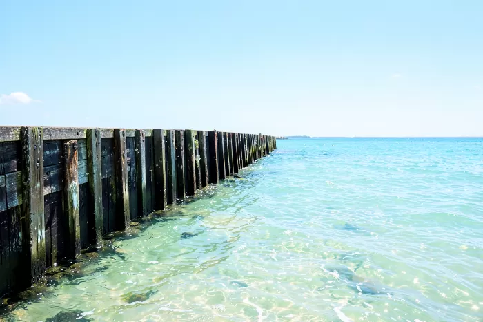 Tidal Timber