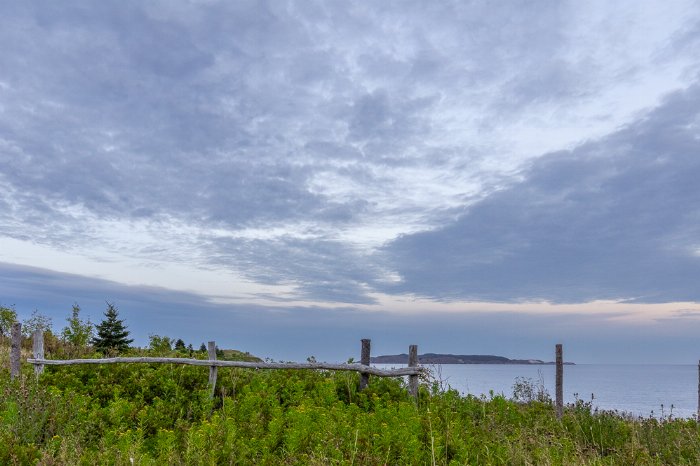 Plotters Field - Newfoundland art print