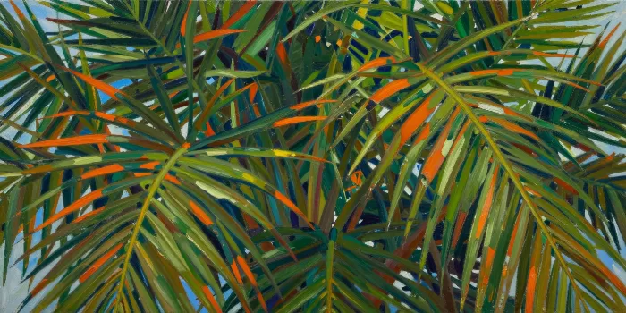 Frond Canopy