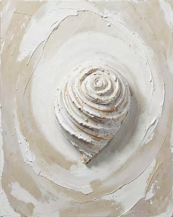 Spiral Shell